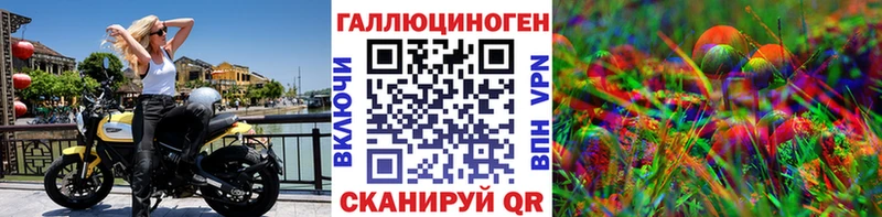 Купить  Лодейное Поле  Псилоцибиновые грибы Psilocybe 