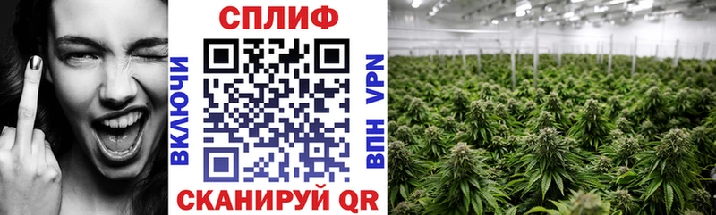 Купить закладки  Лодейное Поле  Марихуана гибрид 